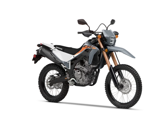 CRF300L SWIFT GRAY CRF300L SWIFT GRAY